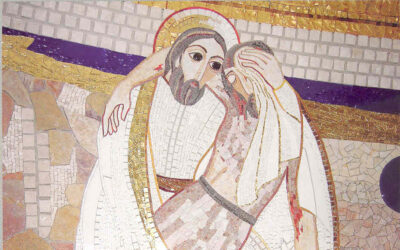 “Testimoniar a Dios-amor, creando comunión en su nombre”