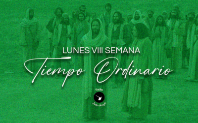 Reflexión Lunes de la VIII Semana del Tiempo Ordinario