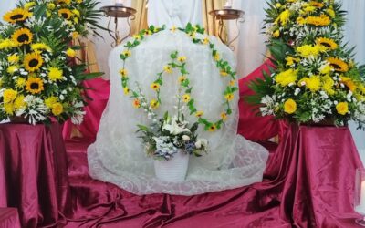 Algunos vídeos de la Procesión del final de las 40 Horas de Adoración